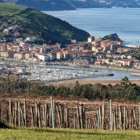 Zumaia Basque Alai Apartment Екстериор снимка